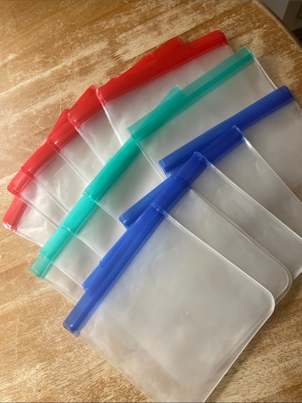Set of Reusable Zip-Top Storage Bags - Blue, Teal, Red Trim